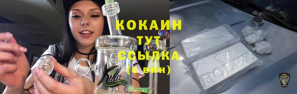 гашик Белокуриха
