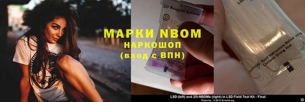 гашик Белокуриха