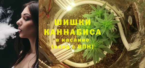 гашик Белокуриха