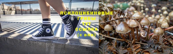 амф Белоозёрский