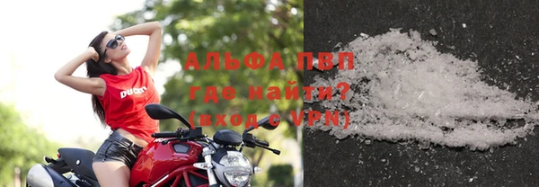 гашик Белокуриха