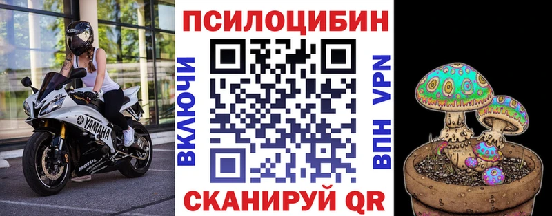 Галлюциногенные грибы GOLDEN TEACHER  kraken вход  Дагестанские Огни 